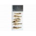 Only Dry Fish (DHANSHEA,BHOPSHEA)-MEDIUM 200gms
